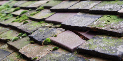 Langar roof repair costs